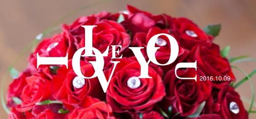 中英字體與圖形圖案的融合 現(xiàn)代廣告Banner的圖文設(shè)計藝術(shù)